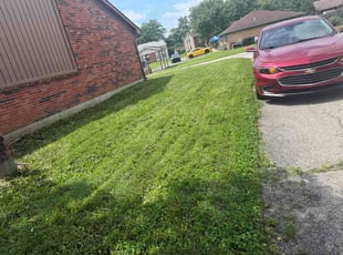 Missy E.'s lawn service service result