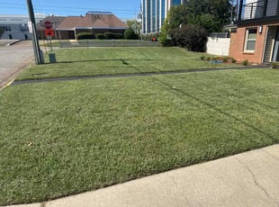 Judy N.'s grass cutting service result