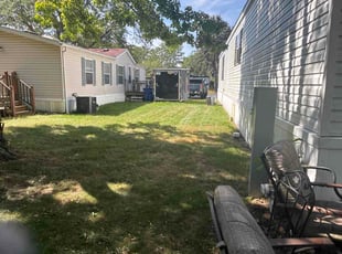 Noor A.'s turf care service result