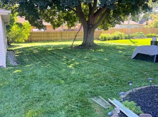 William K.'s grass maintenance service result