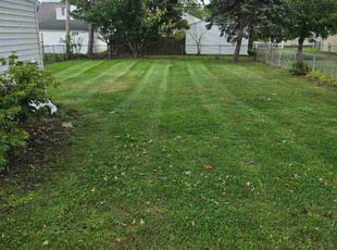 Jaclyn G.'s grass maintenance service result