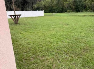 Michelle L.'s grass maintenance service result