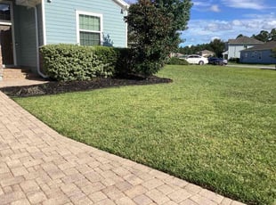 Giselle G.'s turf maintenance service result