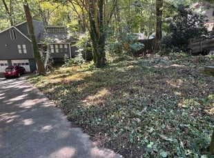 Maria N.'s grass cutting service result