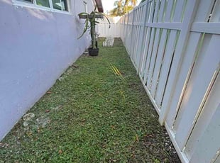 Maria B.'s lawn care service result