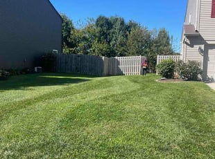 Al M.'s grass cutting service result