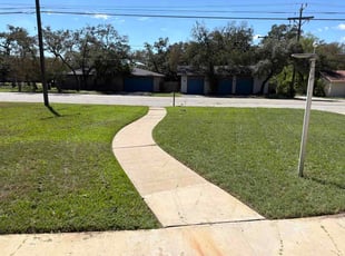 Leya W.'s lawn care services service result
