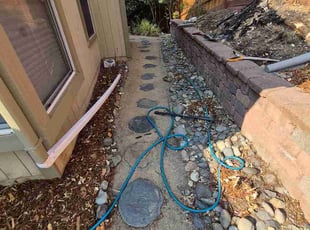 Yolanda C.'s Leaf Removal service result