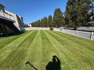 Shannon N.'s turf maintenance service result