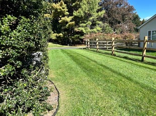 Dawn Y.'s lawn care services service result