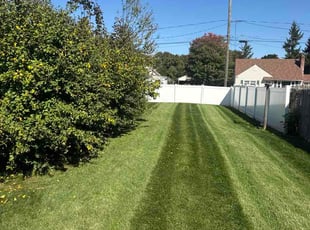 Dominic Q.'s turf maintenance service result