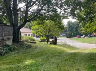 Newville R.'s grass maintenance service result