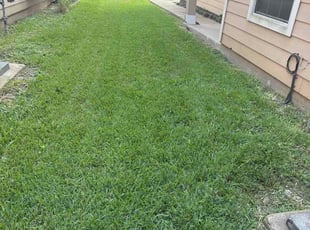 Rachel S.'s grass maintenance service result