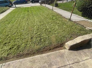 Amy B.'s turf care service result