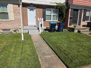 Setrag K.'s grass maintenance service result