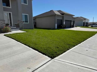 Erick I.'s lawn service service result