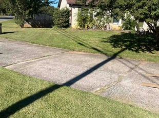 Ceo C.'s lawn care service result