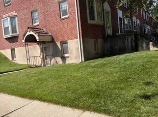 Tanisha T.'s lawn care service result