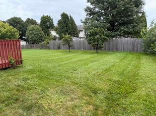 Jonathan H.'s grass cutting service result