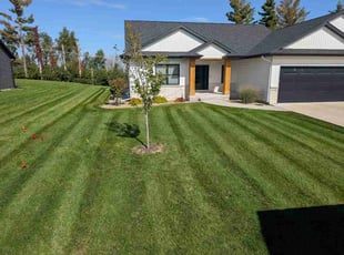 Nimisha T.'s turf maintenance service result