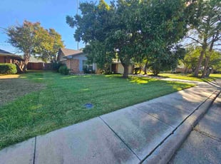 Joseph C.'s lawn service service result