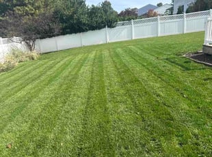 Kristen L.'s turf maintenance service result