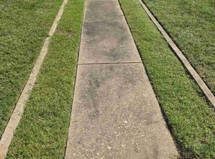 Catalina D.'s lawn care services service result