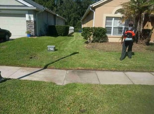 Ferdy D.'s grass maintenance service result