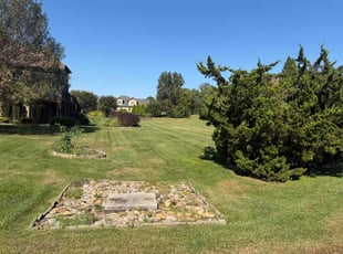 Mohamed G.'s lawn care service result