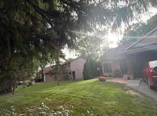 Diana R.'s turf maintenance service result