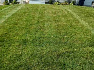 Cynthia W.'s grass cutting service result