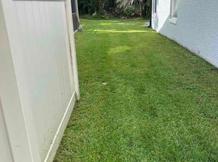 Paul W.'s lawn service service result