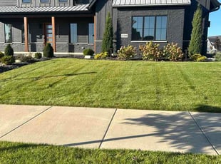 Diamond J.'s grass cutting service result