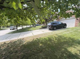 Gail R.'s grass cutting service result