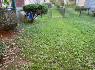 Lauren L.'s lawn care service result