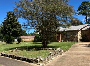 Leisha P.'s lawn care services service result