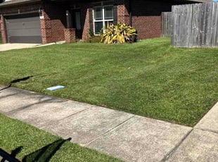 John N.'s lawn service service result