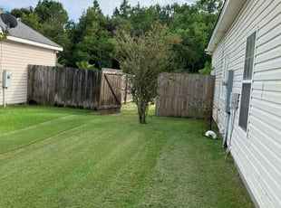 Abbie H.'s lawn care service result