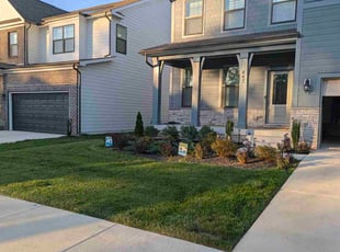 Adara J.'s turf maintenance service result