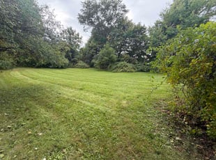 Craig B.'s lawn care services service result