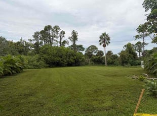 Barry H.'s turf maintenance service result
