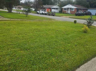 Regina E.'s lawn service service result