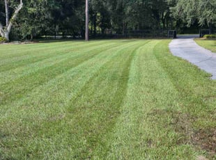 Carl P.'s turf care service result