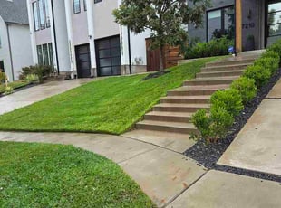 Andrew P.'s grass maintenance service result