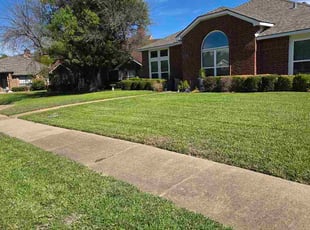 Chris F.'s grass cutting service result