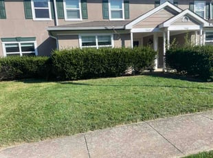 Diana F.'s turf care service result