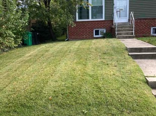 Patricia F.'s grass maintenance service result