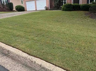 Patricia H.'s grass maintenance service result