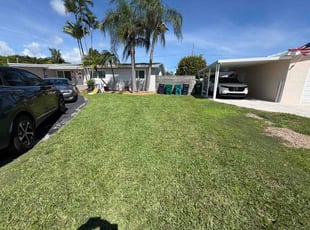 Greg M.'s grass maintenance service result