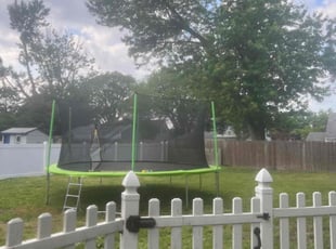 Phyllis T.'s Lawn Service service result